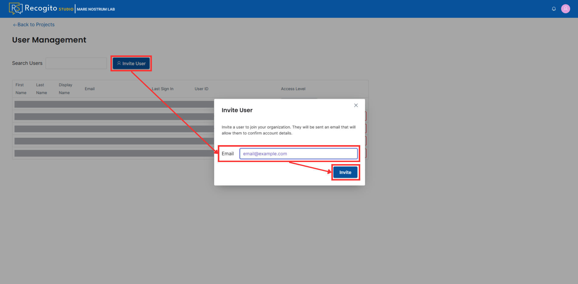 Invite User window